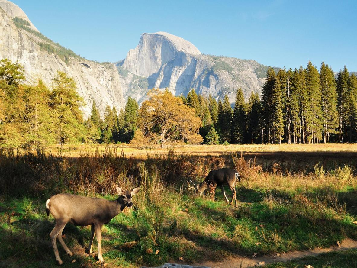 Yosemite, USA