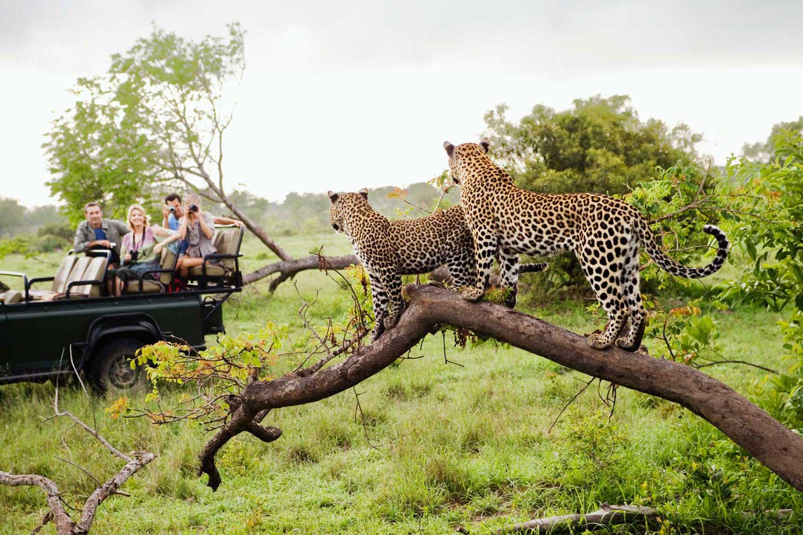 Parque Nacional Kruger, Sudáfrica
