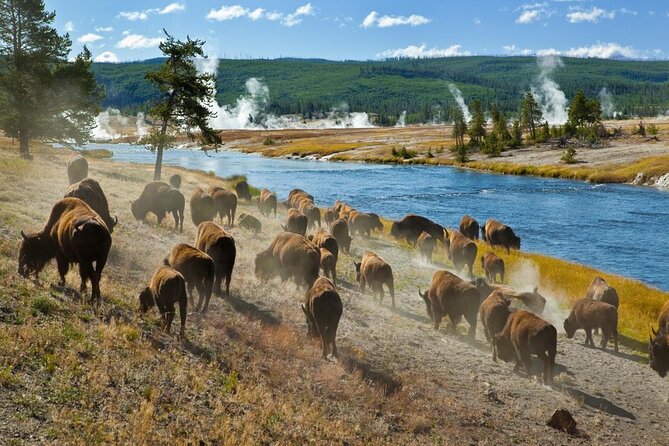 Yellowstone, USA